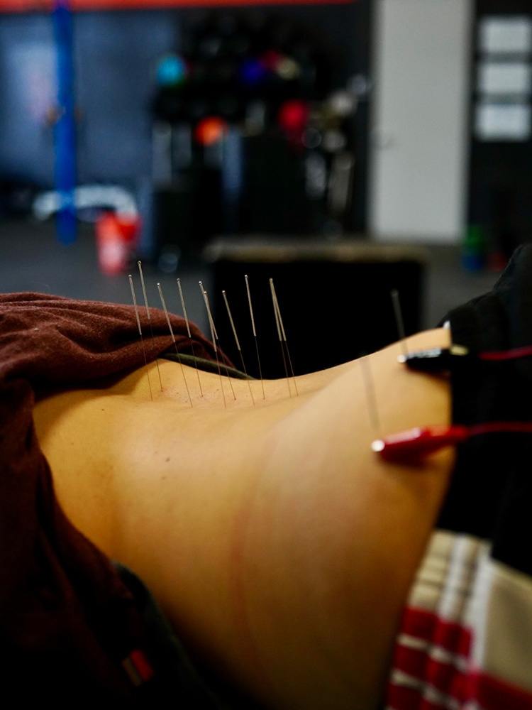 Photo-Mar-23-2025,-10-06-38-AM