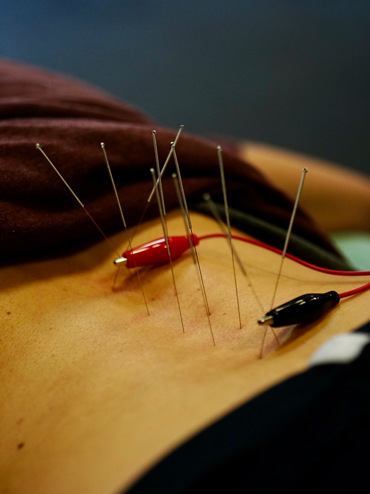 Photo-Mar-23-2025,-10-07-15-AM